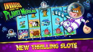 polobet featured game showcase polobet featured game showcase